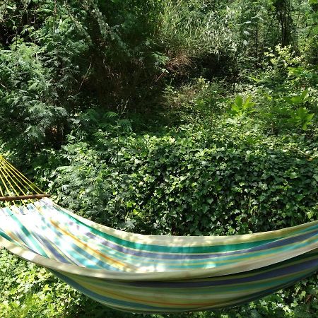 Bed and Breakfast Pura Vida Valleraugue Esterno foto